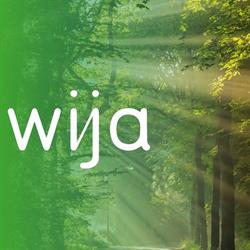 Wija Digital marketing