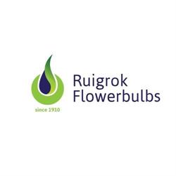 Ruigrok Flowerbulbs