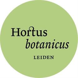 Hortus botanicus Leiden