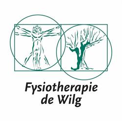 Fysiotherapie Praktijk de Wilg