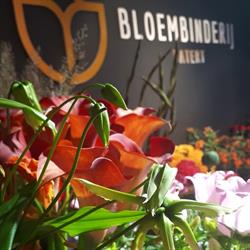 Bloembinderij Hatert