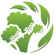 Verdonk Broccoli
