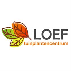 Loef, Tuinplantencentrum