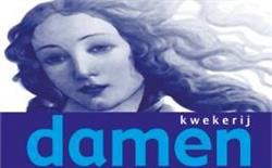 Damen Kwekerij