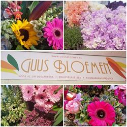 Guus Bloemen Koningshoek