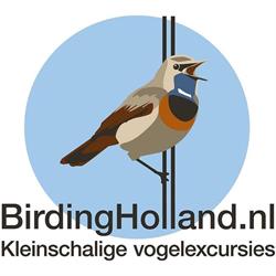 Birdingholland.nl