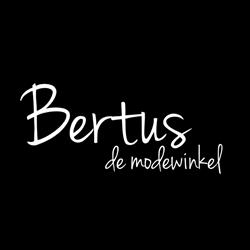 Bertus mode steenwijk