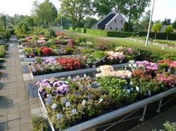 Tuincentrum Radelaar