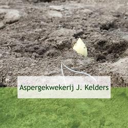 Aspergekwekerij John Kelders