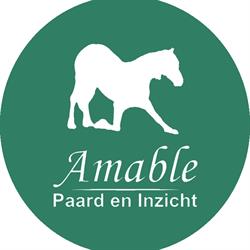 Amable, Paard en Inzicht