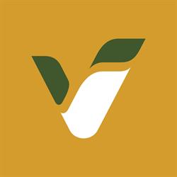 Volentis BV