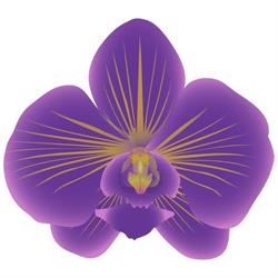 Thai Thala Authentieke Thaise Massage Breda en Prinsenbeek