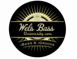 Wels Bass University