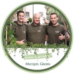 Micquel Groen, Green Inspiration