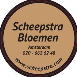 scheepstrabloemen