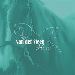 Van der Steen Horses