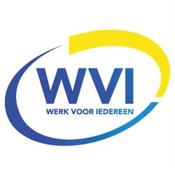 WVI Professionals