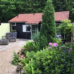 De dansende bomen B&B Putten