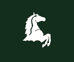 Paardenkliniek De Zuideres