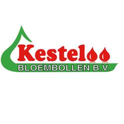 Kesteloo Bloembollen B.V.