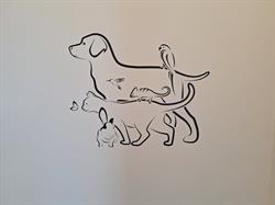 Dierenkliniek Utrechtse Heuvelrug
