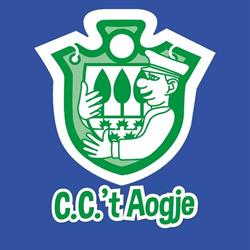 Stichting C.C. 't Aogje
