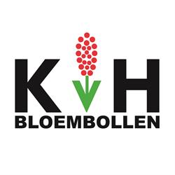 KVH Bloembollen