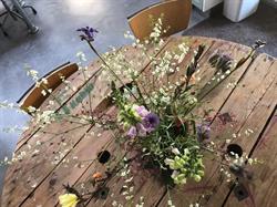 Activiteitenplek De Heerevelden - Dagbesteding & Coachtrajecten