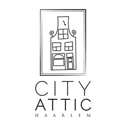 City Attic Haarlem - Bed and Breakfast