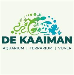 De kaaiman