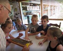 Bijen in Boxtel