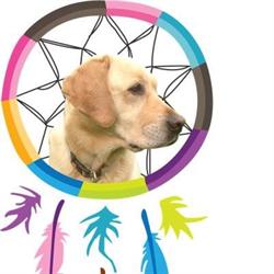 Integratieve Kindertherapie/ Ouderbegeleiding Jacoba Wierstra