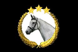 Doornhof Dressage Horses