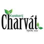 Kwekerij Charvát