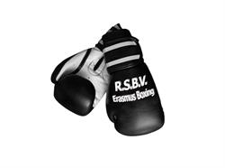 RSBV Erasmus Boxing