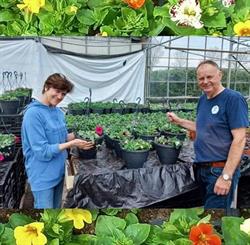 Tiede planten