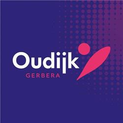 OudijkGerbera