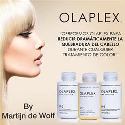 Martijn de Wolf Hair Stylist