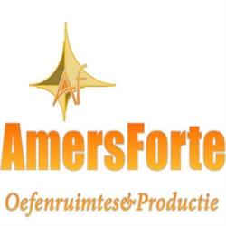 Muziekstudio AmersForte