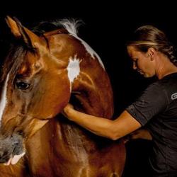 Vijverberg Paardenosteopathie