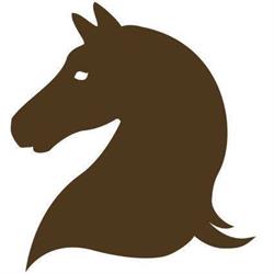 Equizouttherapie