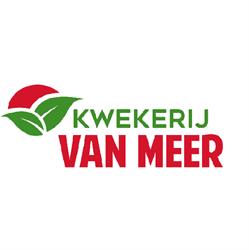 Kwekerij van Meer
