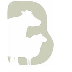Boerderijvlees Veehouderij van Wees