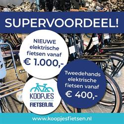 Koopjesfietsen Leusden