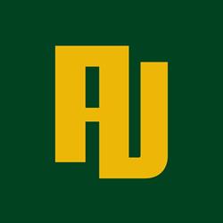 Anivation - Online marketingbureau