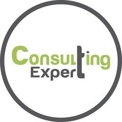 Consulting Expert