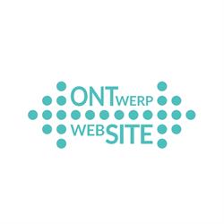 Van Ontwerp naar Website