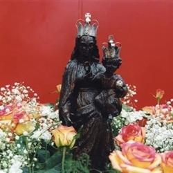 Paróquia Nossa Senhora da Paz Rotterdam