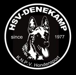 HSV Denekamp