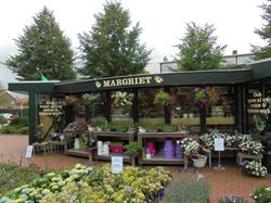 Margriet Bloemen en Planten
